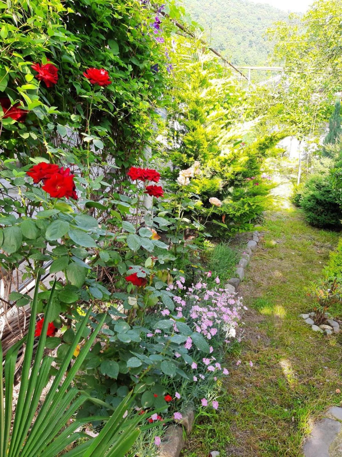 Kote.Ge Hotell Lagodechi Exteriör bild